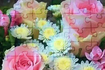 roses jigsaw puzzle