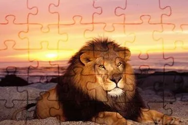 ANIMAIS - LEÃƒO jigsaw puzzle