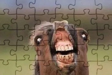 solve the world 's most sexiest puzzle