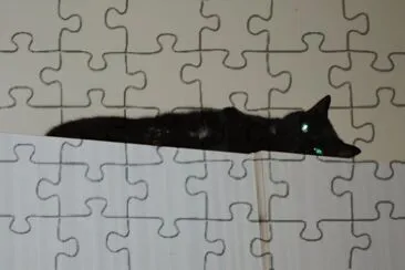 mon loulou jigsaw puzzle