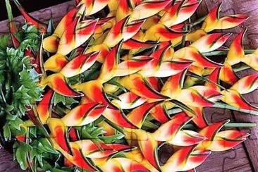 flores jigsaw puzzle
