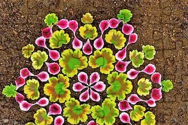 flores jigsaw puzzle