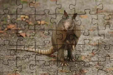 Tktiratus Potoliadu