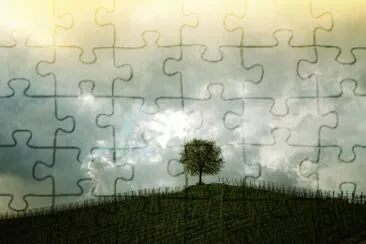 colcjo depus suloa jigsaw puzzle