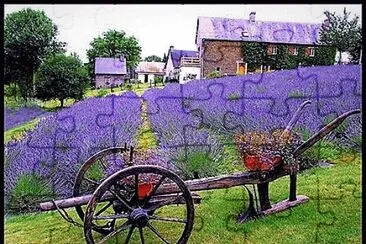 flores jigsaw puzzle