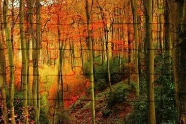 autumn