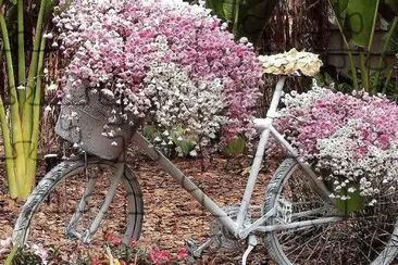 flores