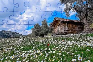 flores jigsaw puzzle
