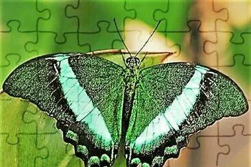 natural jigsaw puzzle