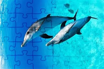 natural jigsaw puzzle