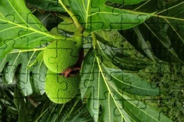 natural jigsaw puzzle