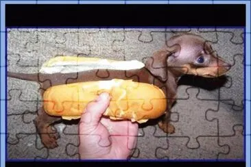 QUE... COMO VEIS EL BOCATA QUE ME HE MONTADO?