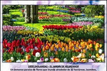LISSE (HOLANDA) â€“ EL JARDIN DE KEUKENHOF