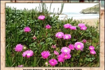 MUSKIZ (BIZKAIA) â€“ PLAYA DE LA ARENA Y SUS FLORES