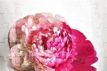 flores jigsaw puzzle