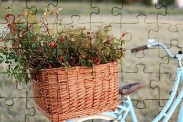 פאזל של flores