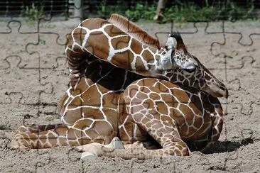natural jigsaw puzzle