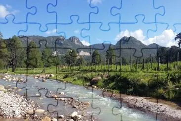 Adrian ED jigsaw puzzle