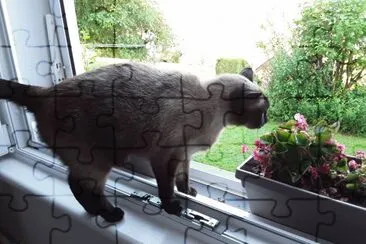 Mia jigsaw puzzle
