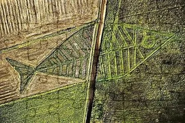 natural jigsaw puzzle