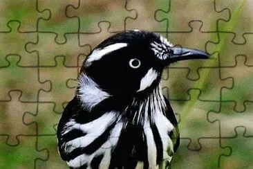 natural jigsaw puzzle