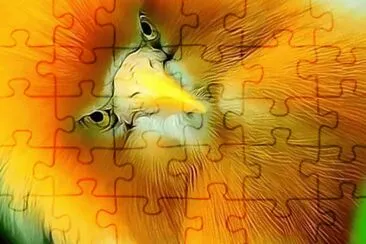 natural jigsaw puzzle