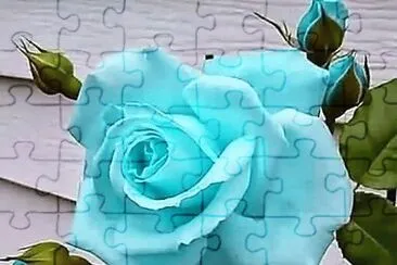 flores jigsaw puzzle