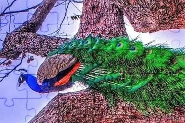 natural jigsaw puzzle