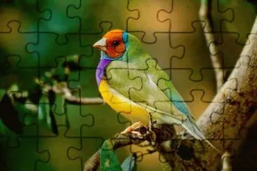 natural jigsaw puzzle
