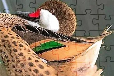 natural jigsaw puzzle