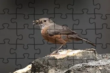 Origma jigsaw puzzle