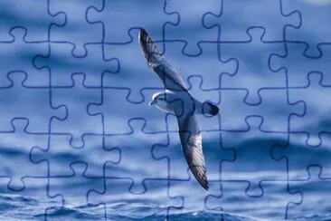 Prione jigsaw puzzle
