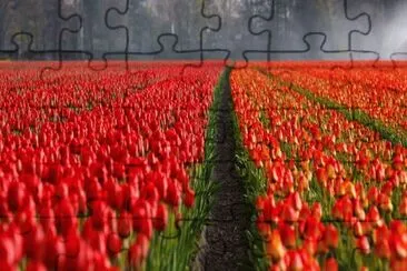 floria jigsaw puzzle