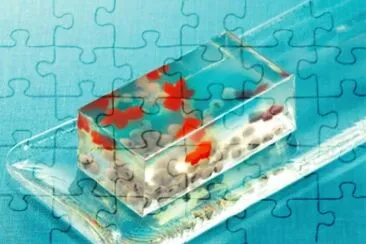 æžœå‡ jigsaw puzzle