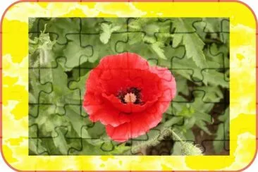 è™žç¾Žäºº (æœ‰æ¯’æ¤ç‰©) jigsaw puzzle
