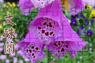 æ–‡æ®Šè˜­ (æœ‰æ¯’æ¤ç‰©) jigsaw puzzle