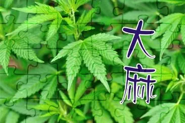 å¤§éº» (æœ‰æ¯’æ¤ç‰©) jigsaw puzzle