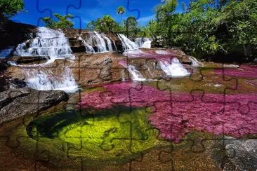 RIOS E MARES: RIO CAÃ‘O CRISTALES (COLÃ”MBIA) jigsaw puzzle