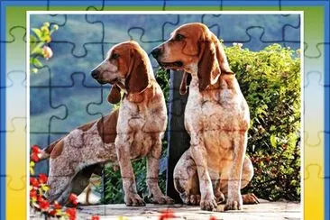 MUY LINDOS ANIMALES â€“ SU RAZA, SABUESO FINO COLOMBIANO