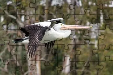 natural jigsaw puzzle