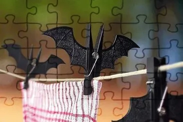 interessante jigsaw puzzle