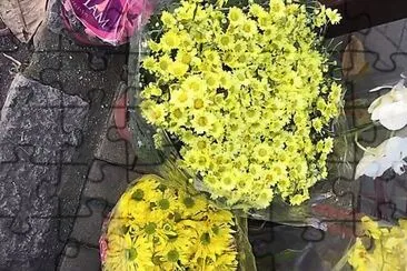 flores