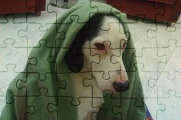 nina jigsaw puzzle