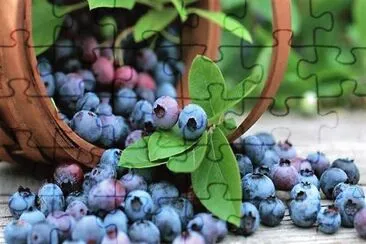 natural jigsaw puzzle