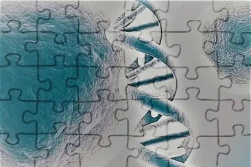 DNA