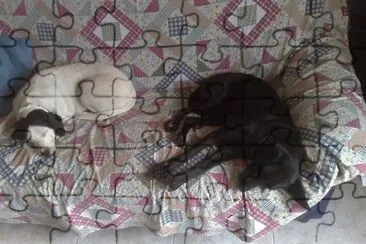 che stanchezza nina e bertino