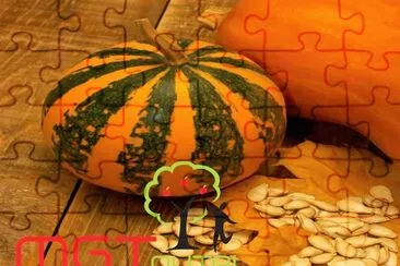 natural jigsaw puzzle