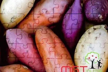 natural jigsaw puzzle