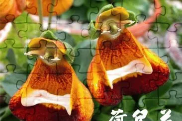 è·åŒ…èŠ± jigsaw puzzle
