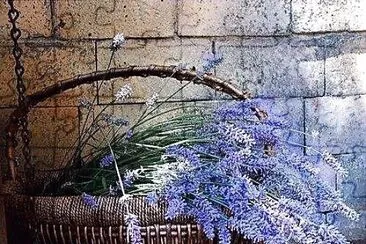flores jigsaw puzzle